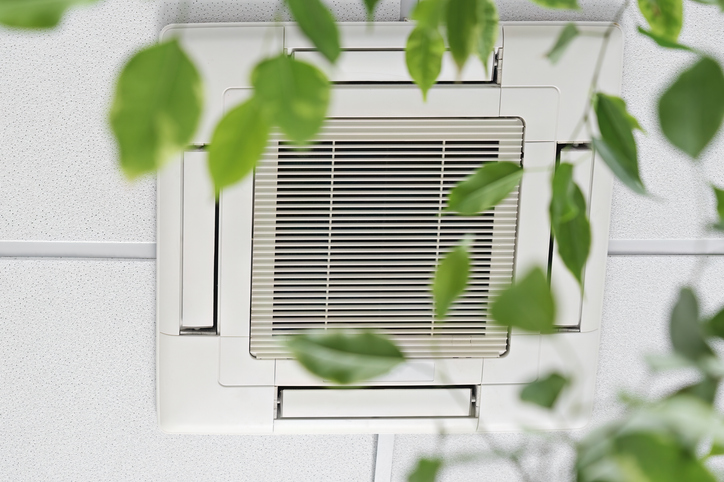 The Science Behind Indoor Air Quality and Its Impact on Wellness
