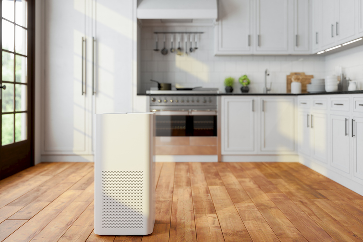 How Air Purification Services Enhance Your Family's Year-Round Health